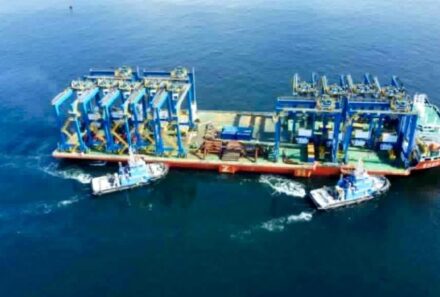 2e vague des portiques de parc au Port de Kribi