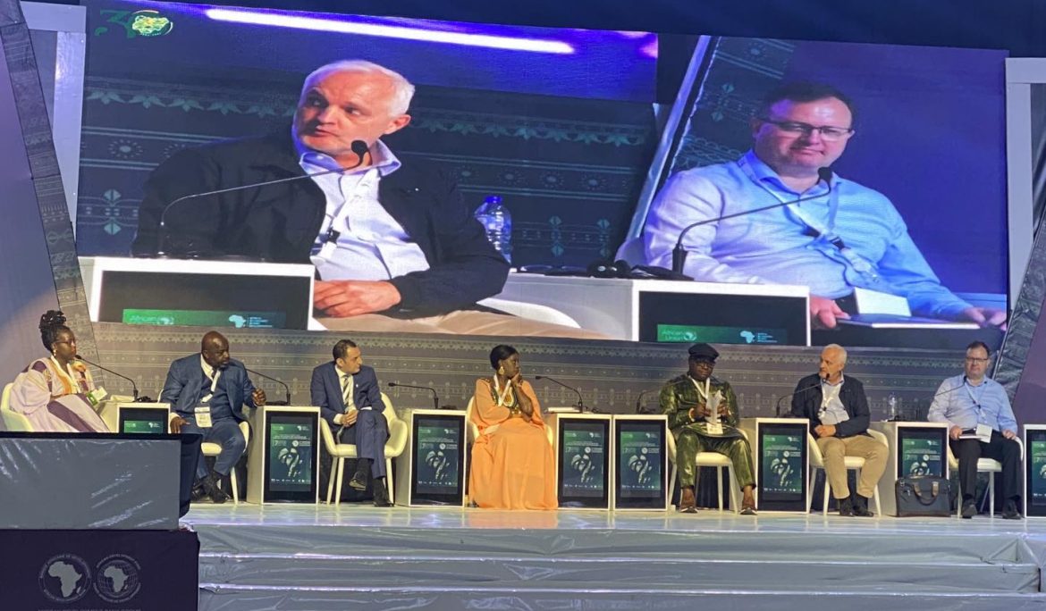 Commission de l’Union africaine sur les zones économiques