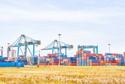 Terminal à conteneur de Kribi: Un trimestre exceptionnel pour le trafic conteneurisé