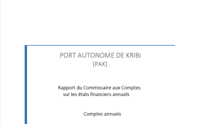 Statutory Auditor’s Report and Financial Statements 2024