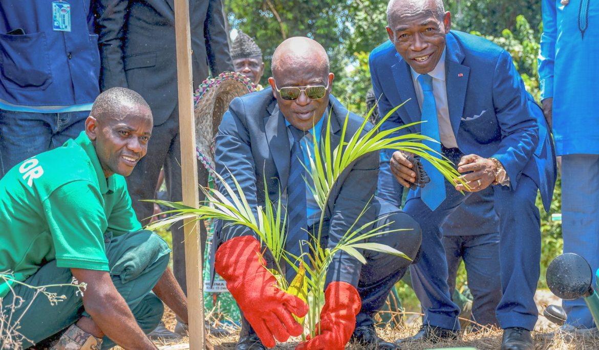 Green Economy: Kribi Celebrates Forest Value