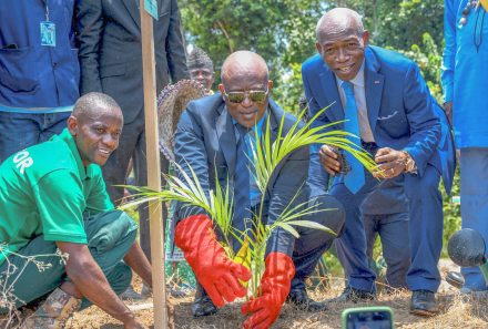 Green Economy: Kribi Celebrates Forest Value